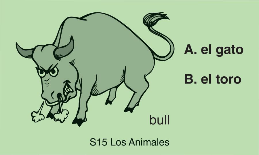 A Frog Publication Elementary Spanish-English Vocabulary Learning Game Set