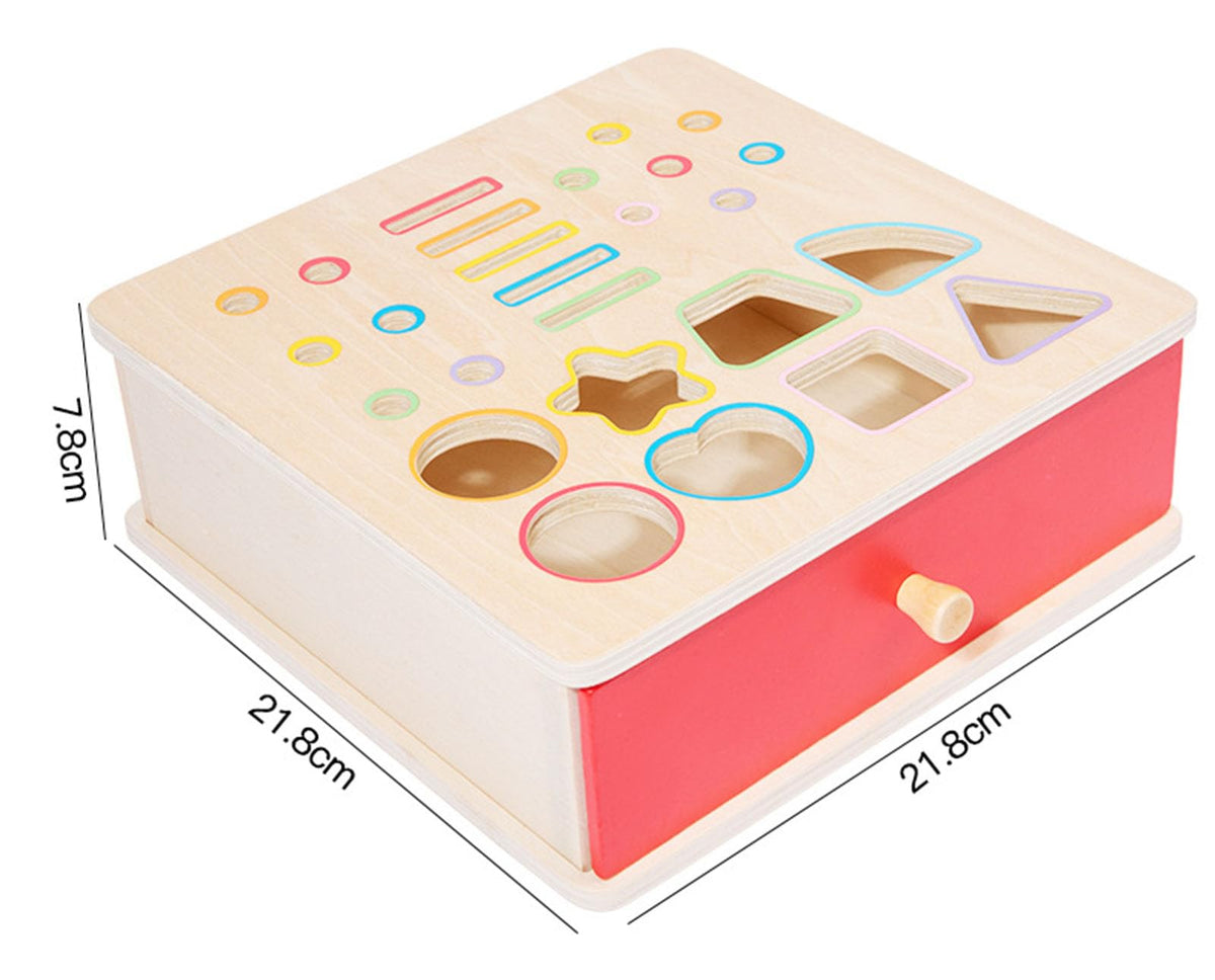 ZQsmgs Wooden Shape Sorter Box, Montessori Activity Cube with Ball Drop, Worm Catching & Pegs