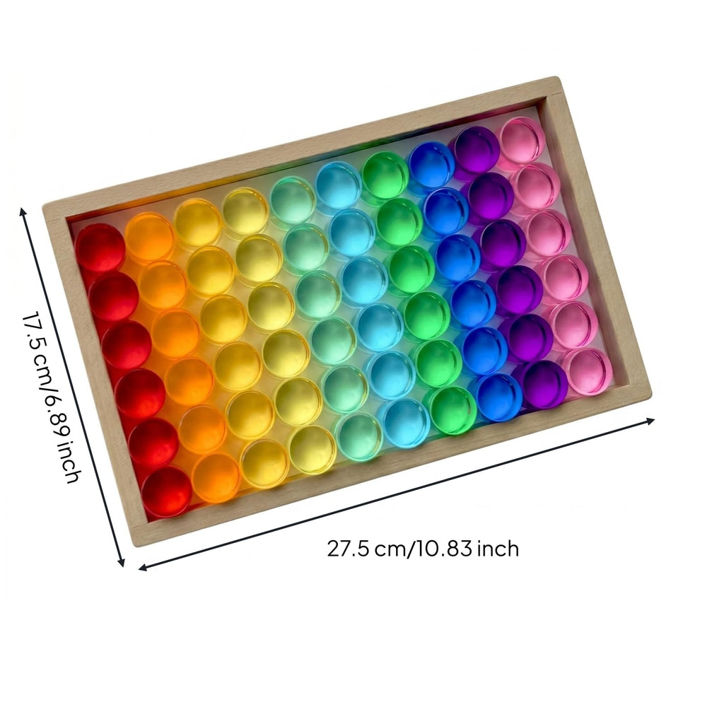 EHJRE Children Building Blocks Wooden Stacking Blocks Disc Blocks Cylindrical Blocks with Acrylic for Visual Effect Sorting and Repeated Shape Building in Tray Box Suitable for Classroom Activities