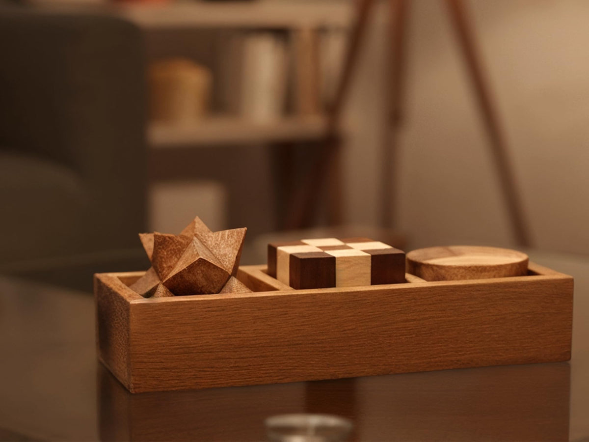 BSIRI Wooden Brain Teaser Puzzle Set