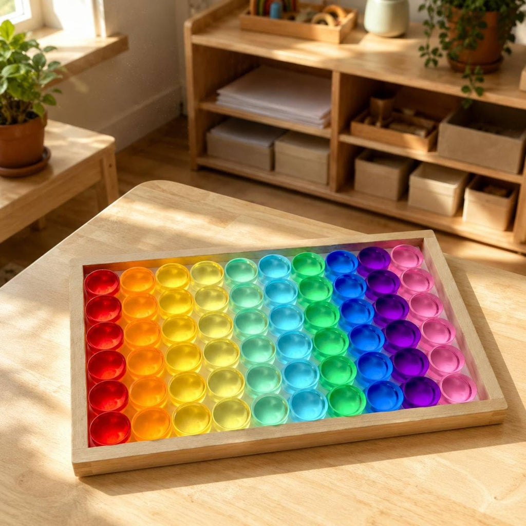 EHJRE Children Building Blocks Wooden Stacking Blocks Disc Blocks Cylindrical Blocks with Acrylic for Visual Effect Sorting and Repeated Shape Building in Tray Box Suitable for Classroom Activities
