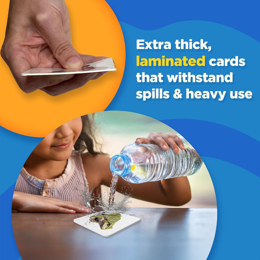 ThinkPsych Picture Play Language Learning Cards