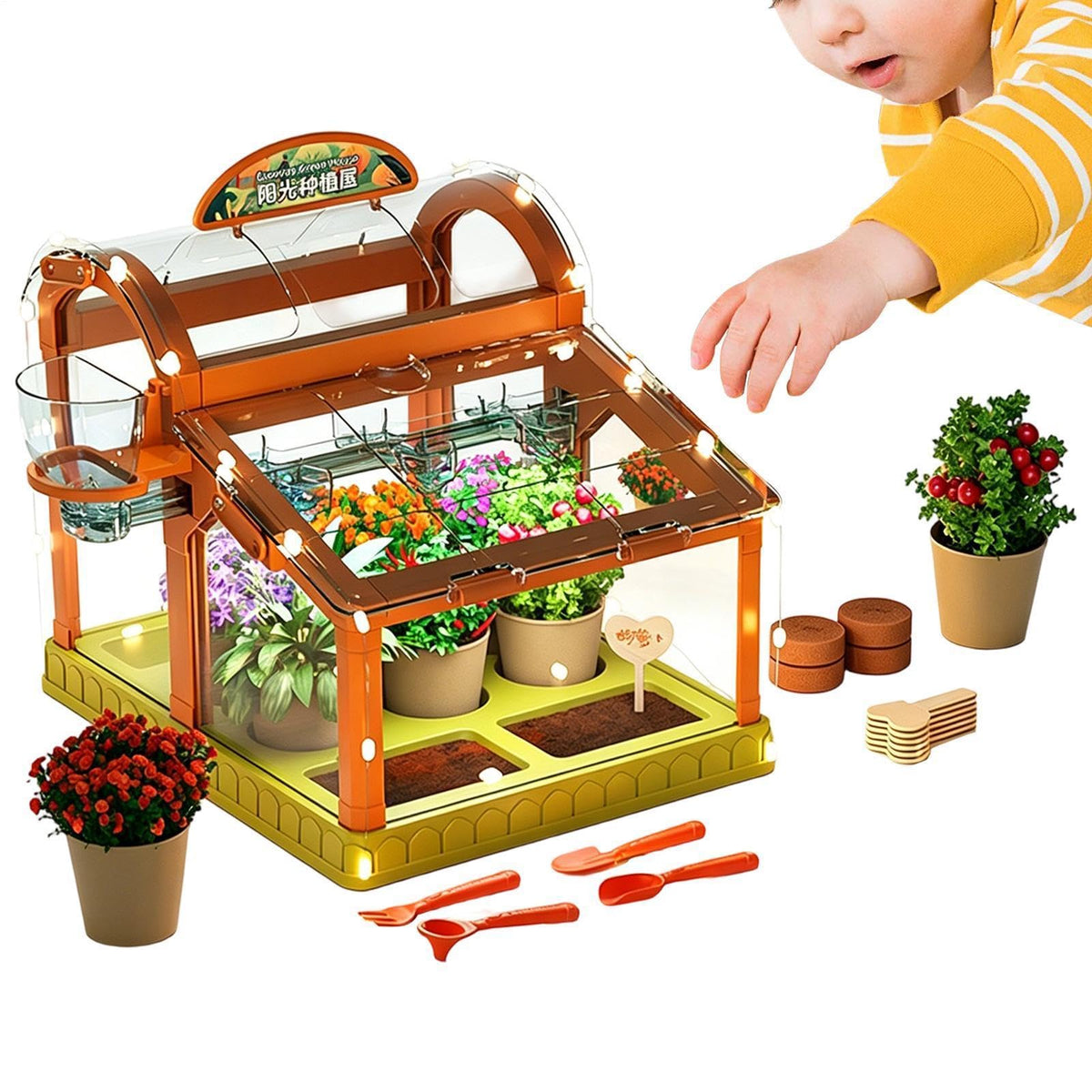 Kids Indoor Plant Growing Greenhouse Kit