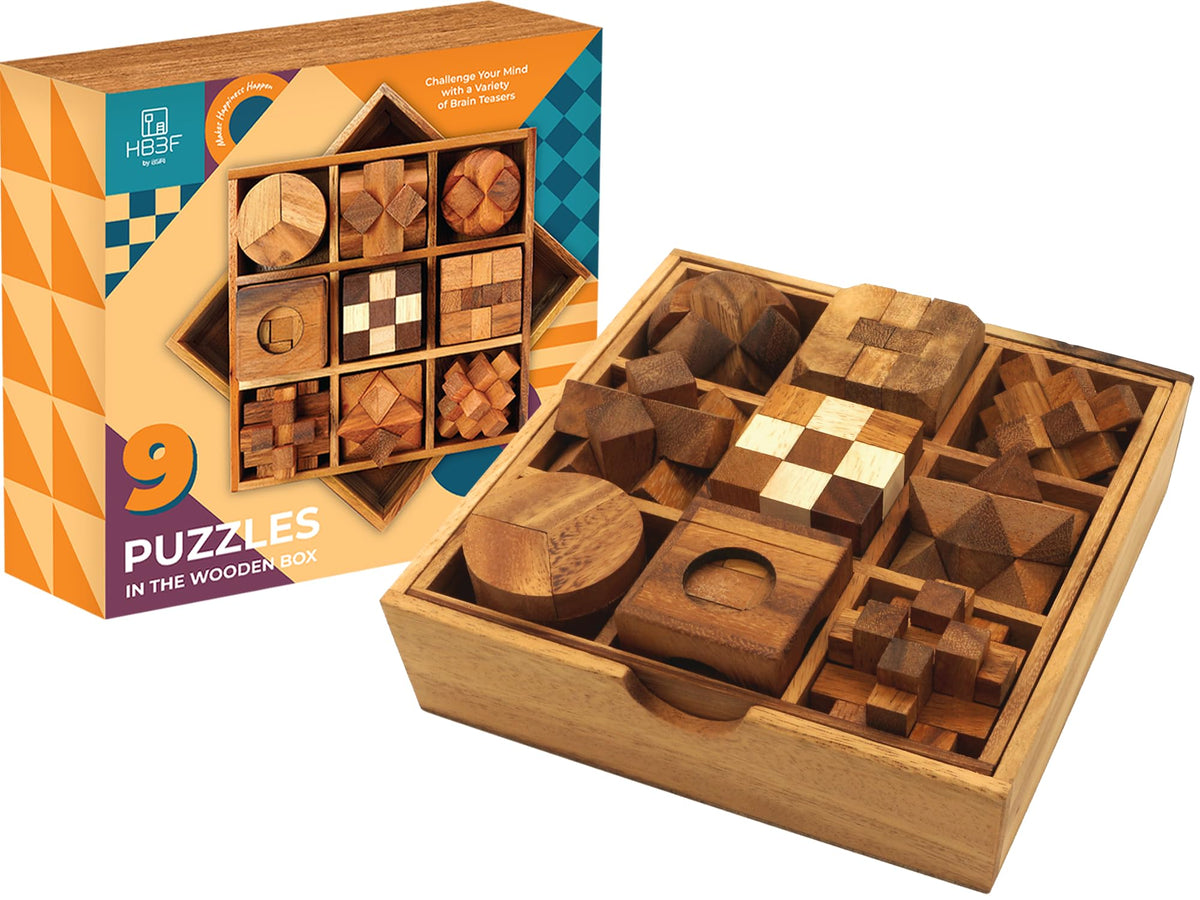 BSIRI Wooden Brain Teaser Puzzle Set