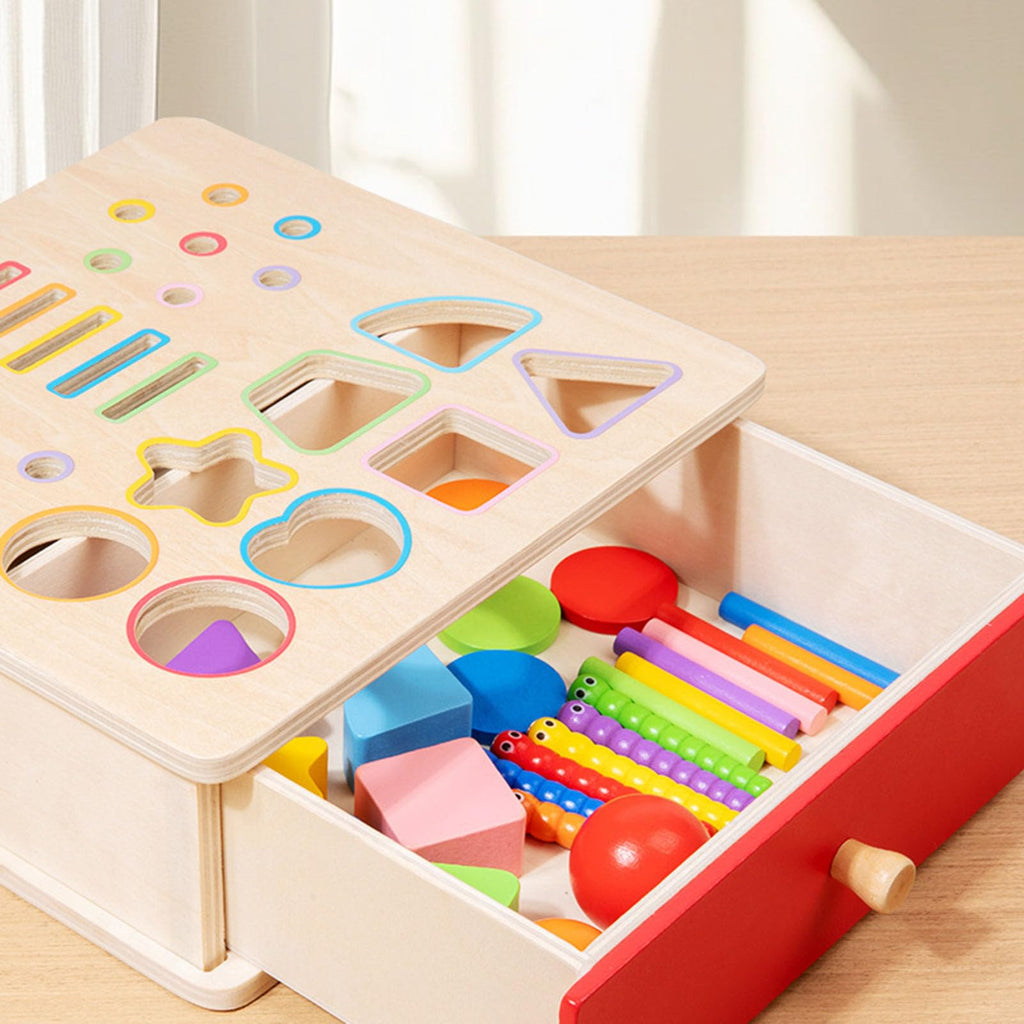 ZQsmgs Wooden Shape Sorter Box, Montessori Activity Cube with Ball Drop, Worm Catching & Pegs