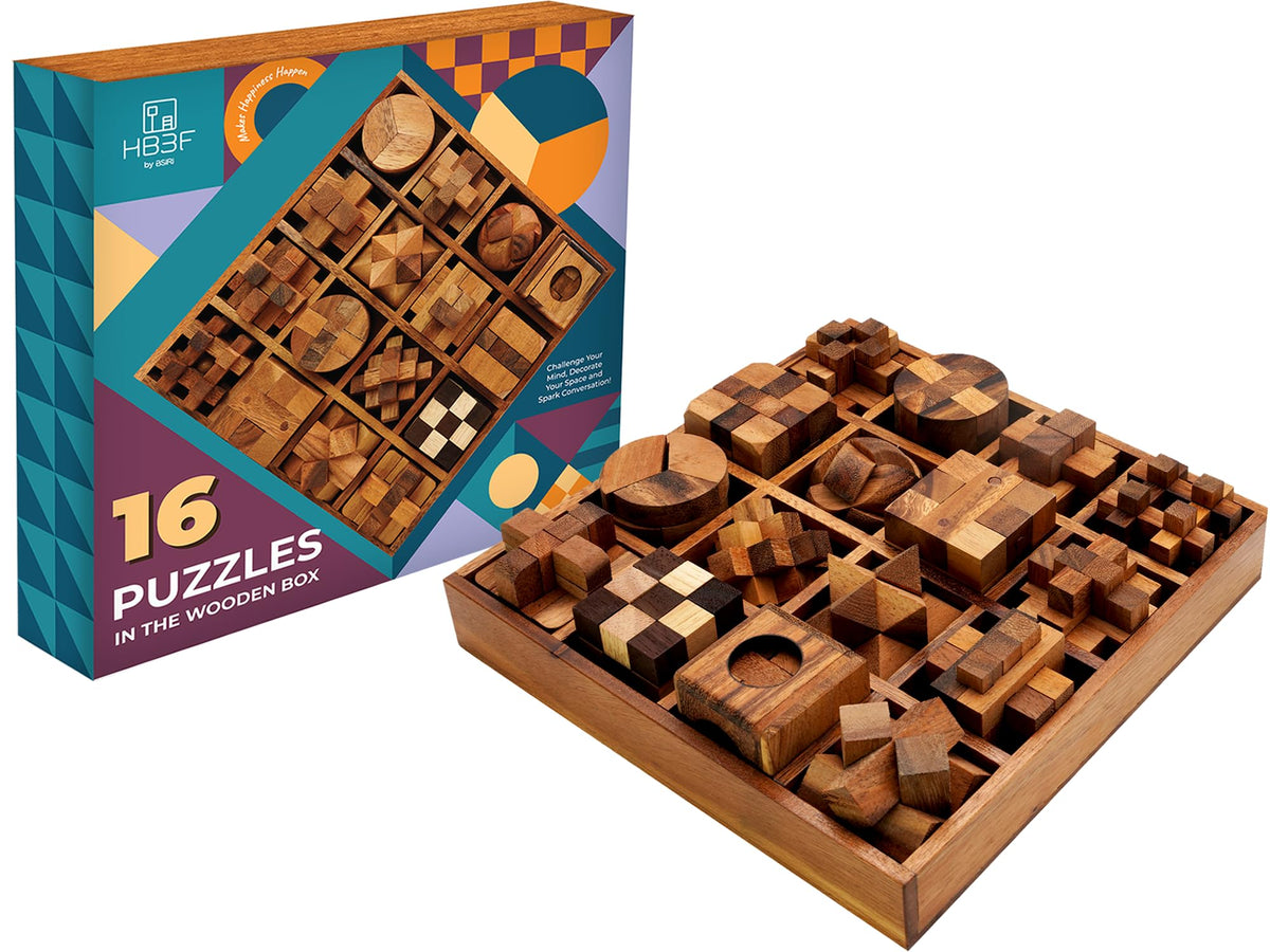 BSIRI Wooden Brain Teaser Puzzle Set