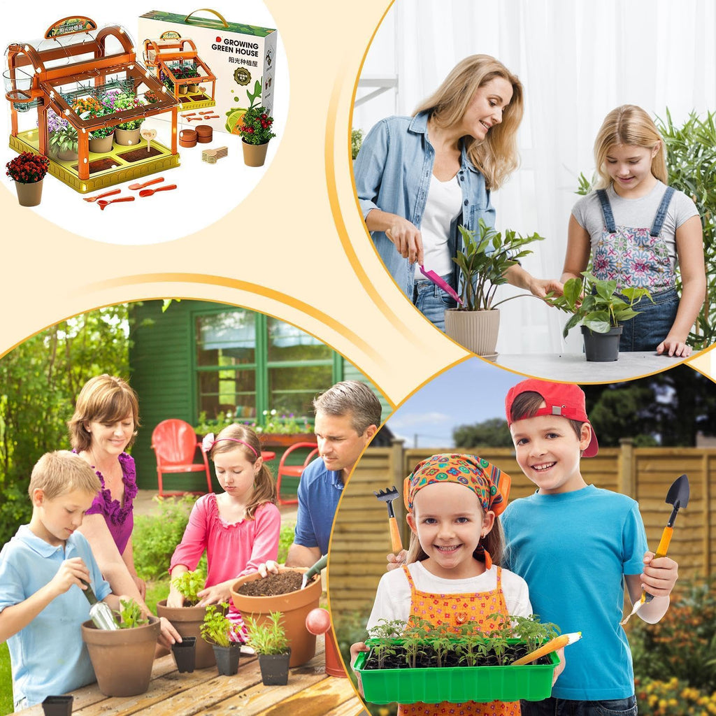 Kids Indoor Plant Growing Greenhouse Kit