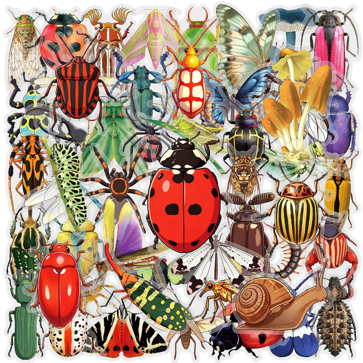 PET Decorative Sticker Activity Set