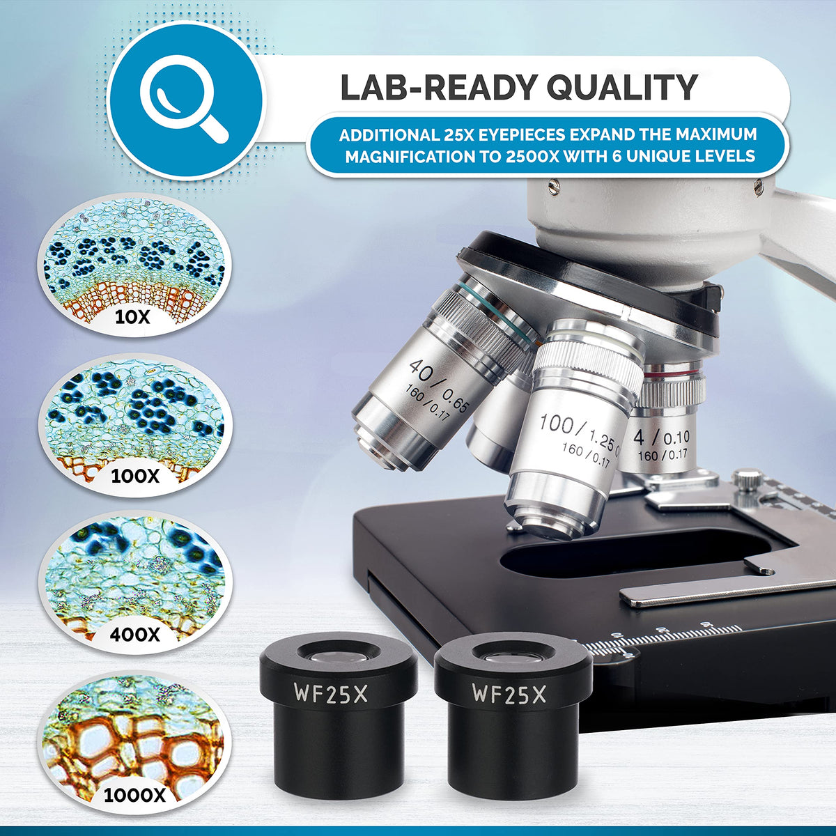 AmScope B120 Series Student & Professional LED Binocular Compound Microscope - 40X-2500X Magnification