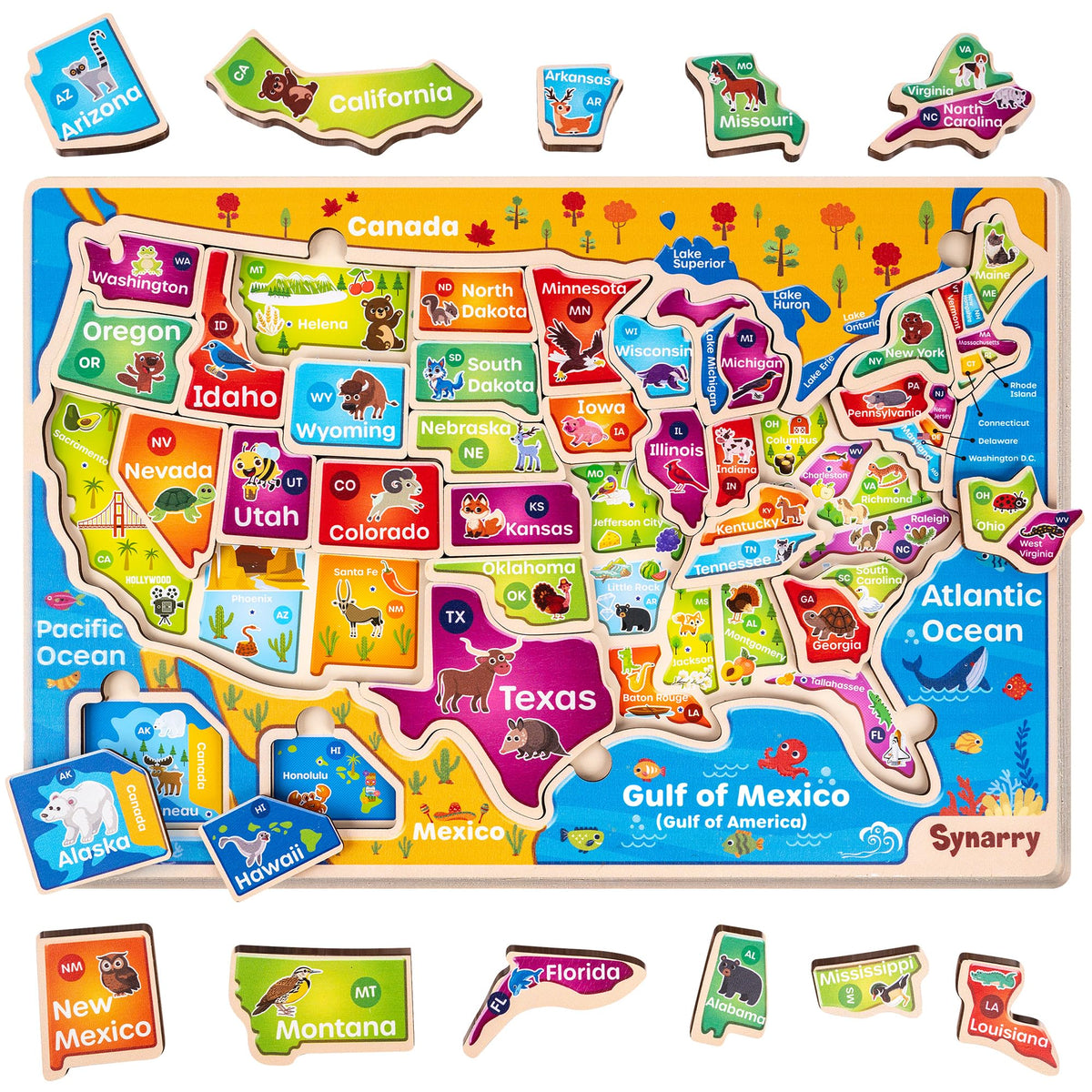 SYNARRY Educational Jigsaw Puzzle Set